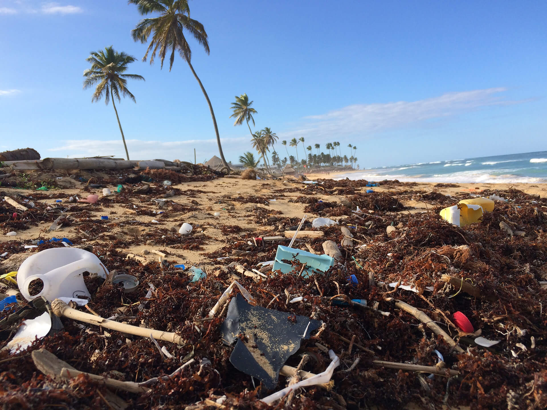 Plastik_Müll_Strand_Meer_dustan-woodhouse.jpg