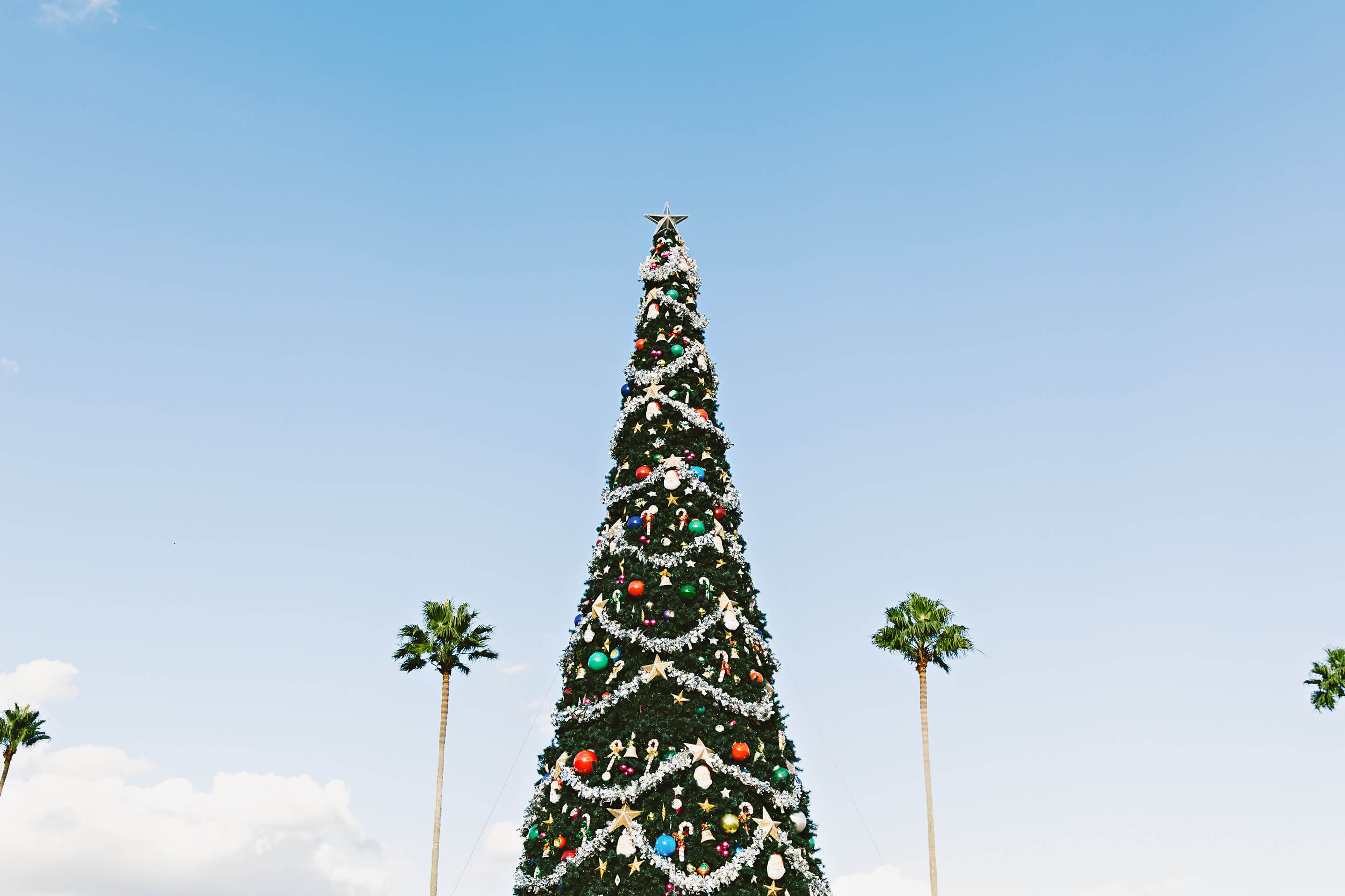 Weihnachten in Südafrika