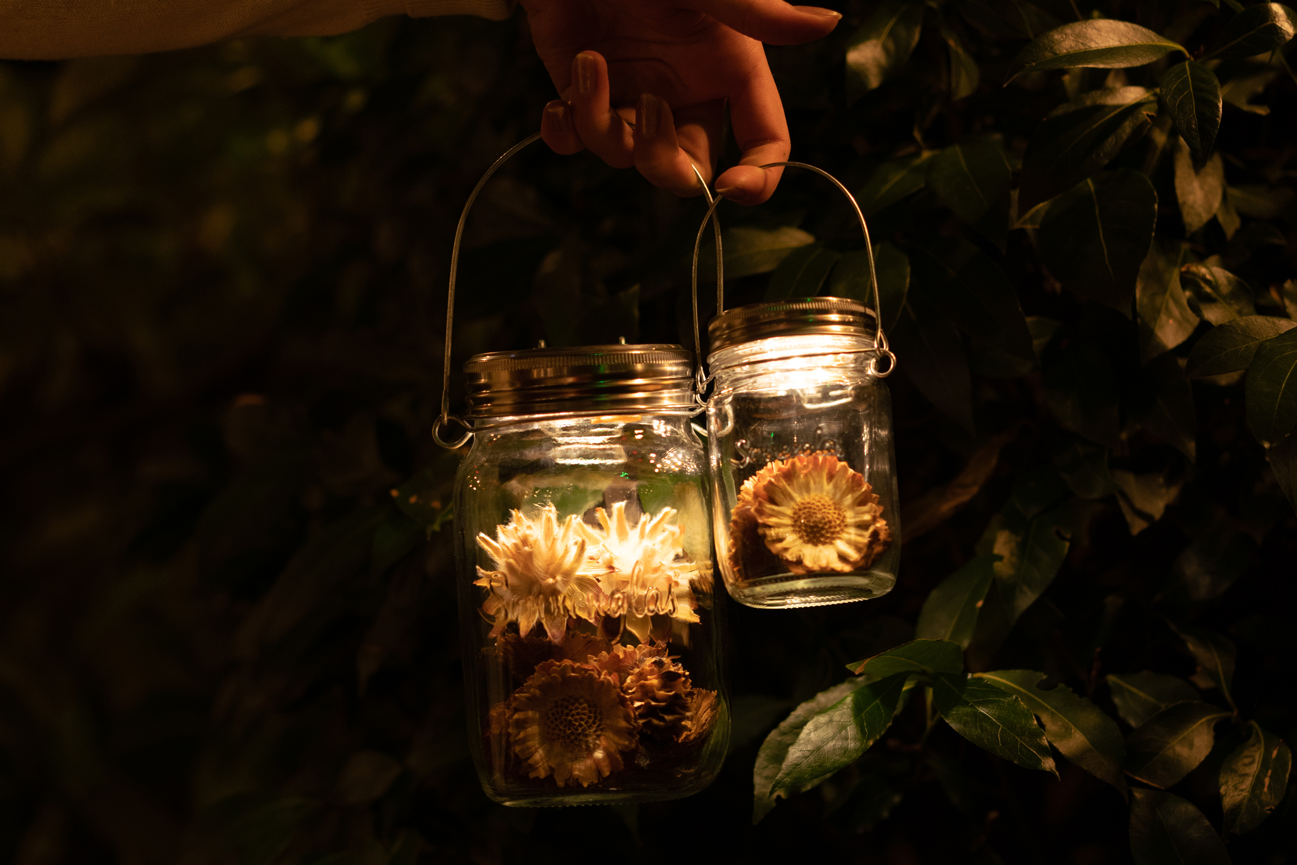 Gemeinsam sind wir das Licht im Dunkeln der Earth Hour