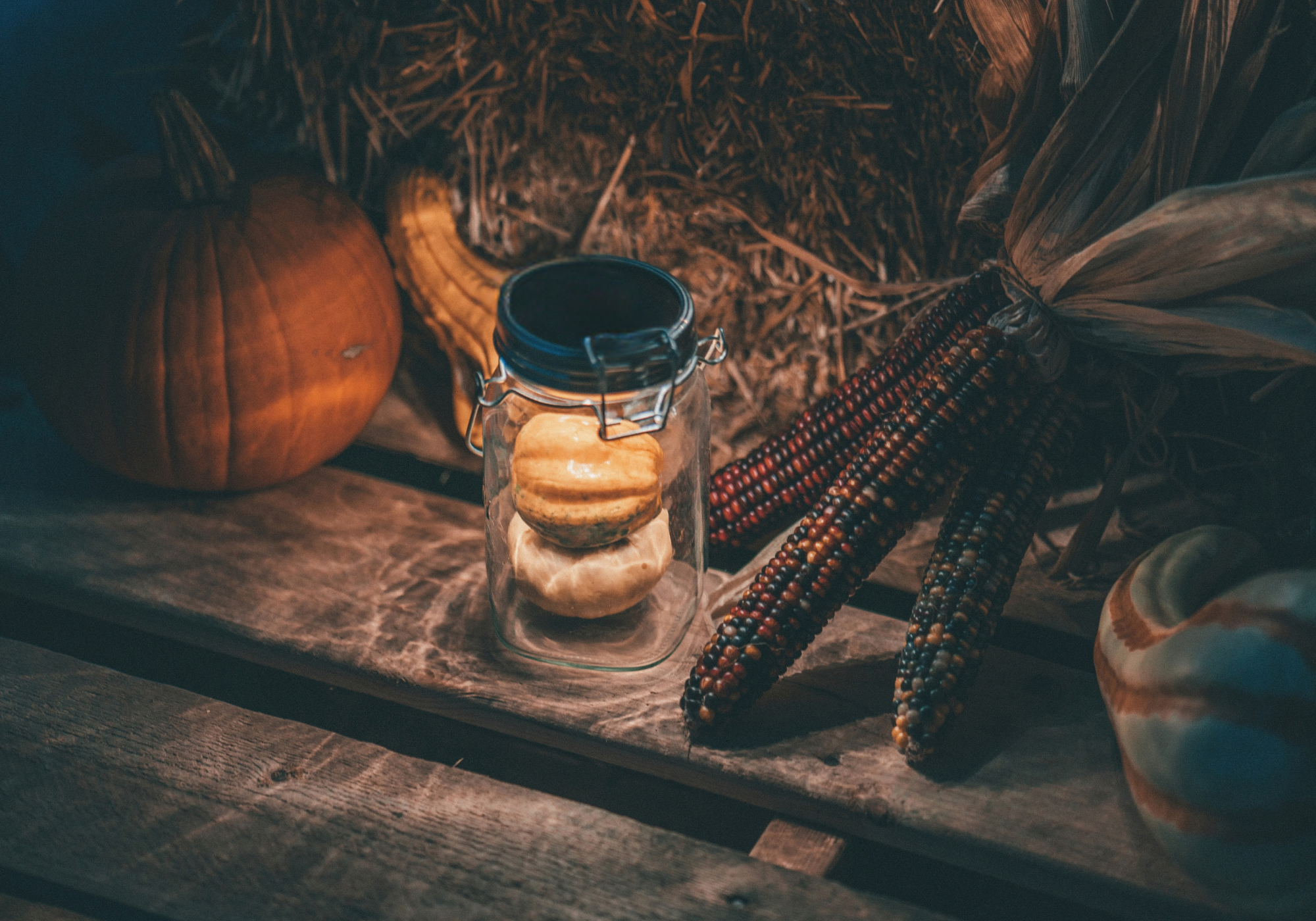 Halloween: Magisches Licht für gruselige Nächte