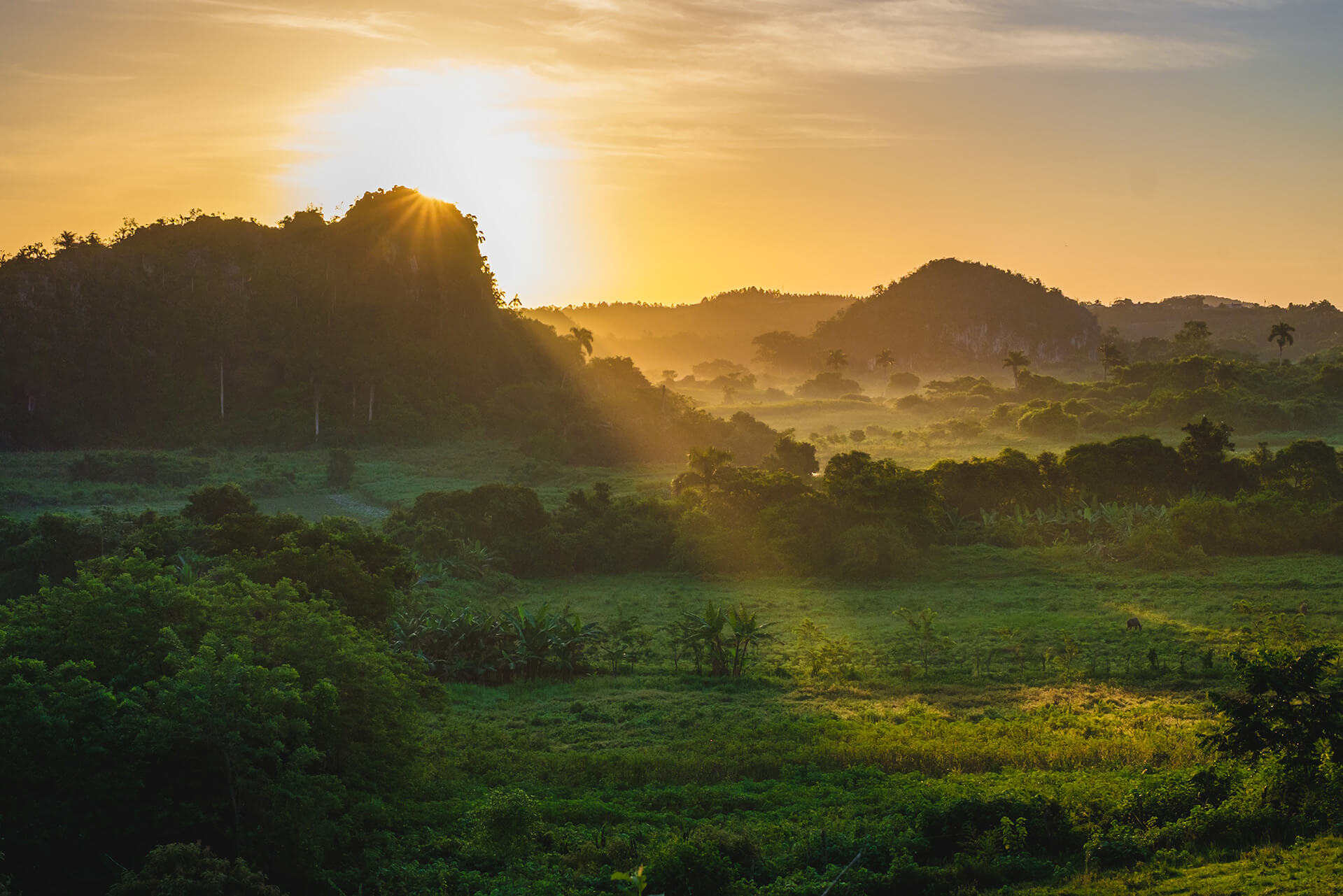 Viñales_yannes-kiefer-1394327-unsplash_small.jpg