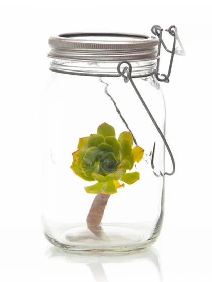 Sun Jar, decorated