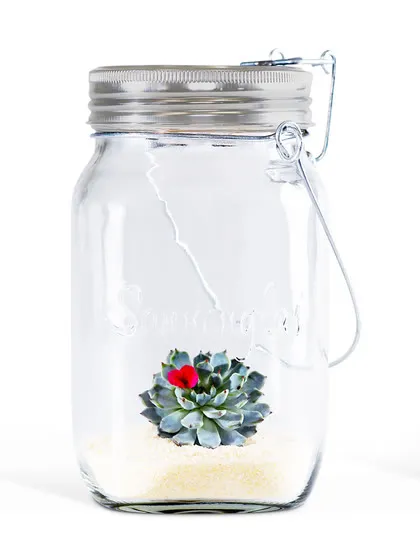 Sun Jar, decorated